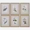 Green Floral Botanical Study Prints Set/6, Painting by Uttermost, 17.62" width x 22.62" height x 1.5" depth thumbnail 1