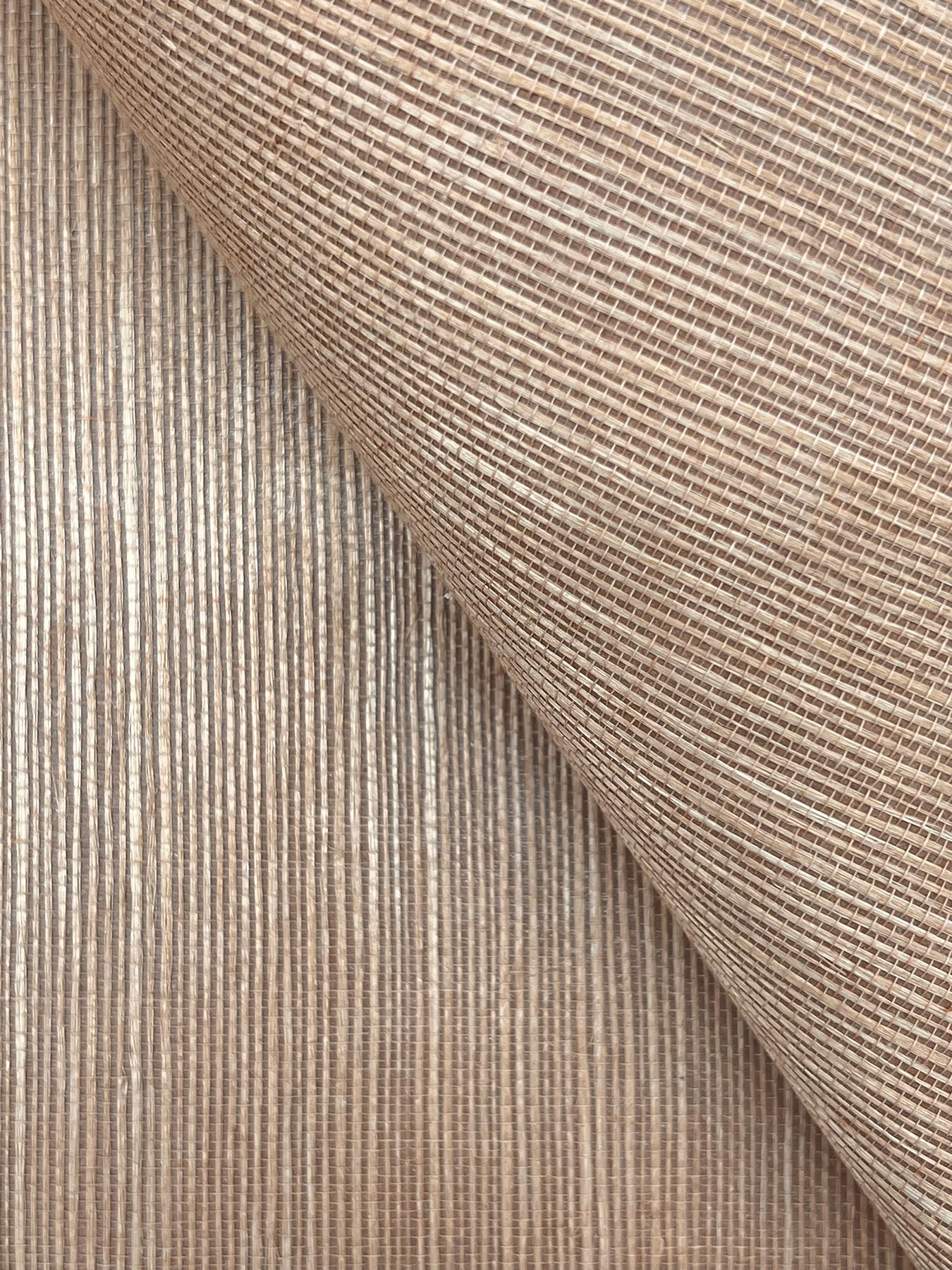 Maguey Sisal Fawn Wallpaper large image 