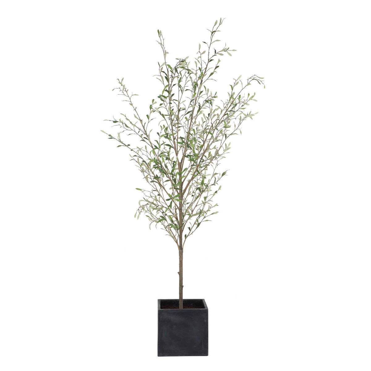 Abundance Potted Olive Tree, Artificial Plants & Flower by Uttermost, 31.5" width x 90.5" height x 31.5" depth View 3