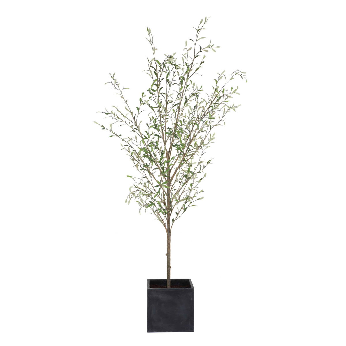 Abundance Potted Olive Tree, Decorative by Uttermost, 31.5" width x 90.5" height x 31.5" depth View 3