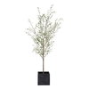 Abundance Potted Olive Tree, by Uttermost, 2'7.5" width x 7'6.5" height x 2'7.5" depth thumbnail 3