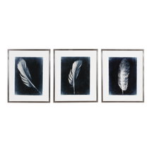 Online Designer Home Office Inverted Feathers Prints, S/3
