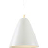 Teagan Ceiling Fixture thumbnail 1
