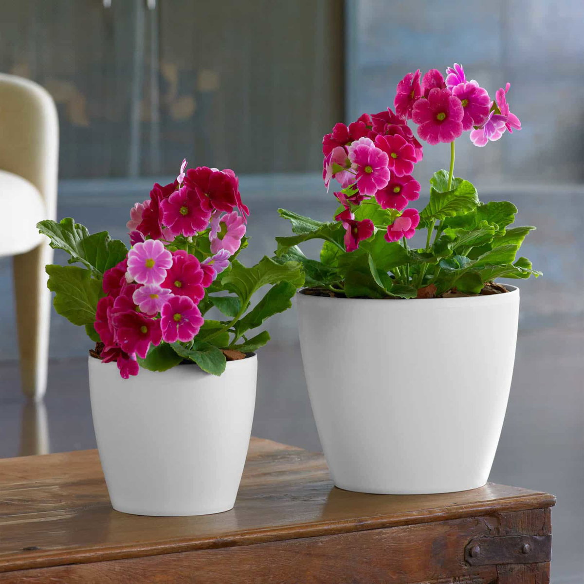 Eva Round Houseplant Pot - No Drain Hole Case of 2, Planter by Crescent Garden, 14.25" width x 13" height x 14.25" depth View 2