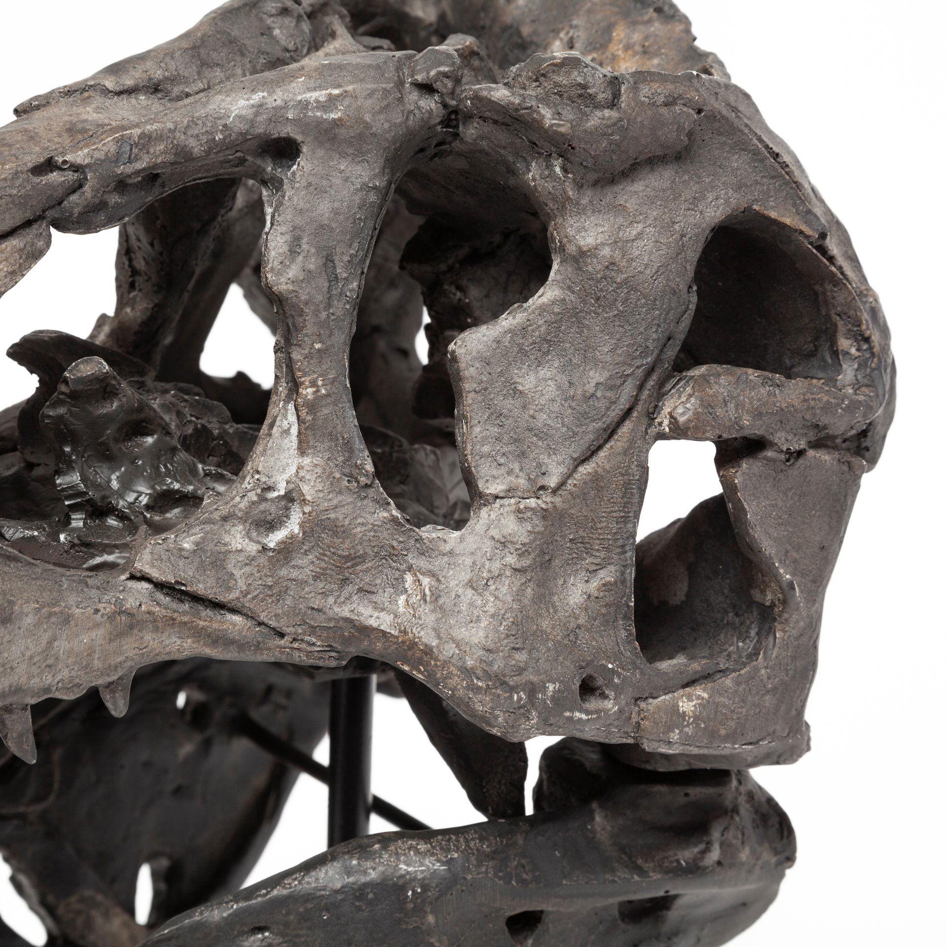 Jurassic 6L x 10W Brown Resin Tyrannosaurus Skull Replica, Decorative Object by Mercana, 6" length x 9.84" width x 11.81" height View 7