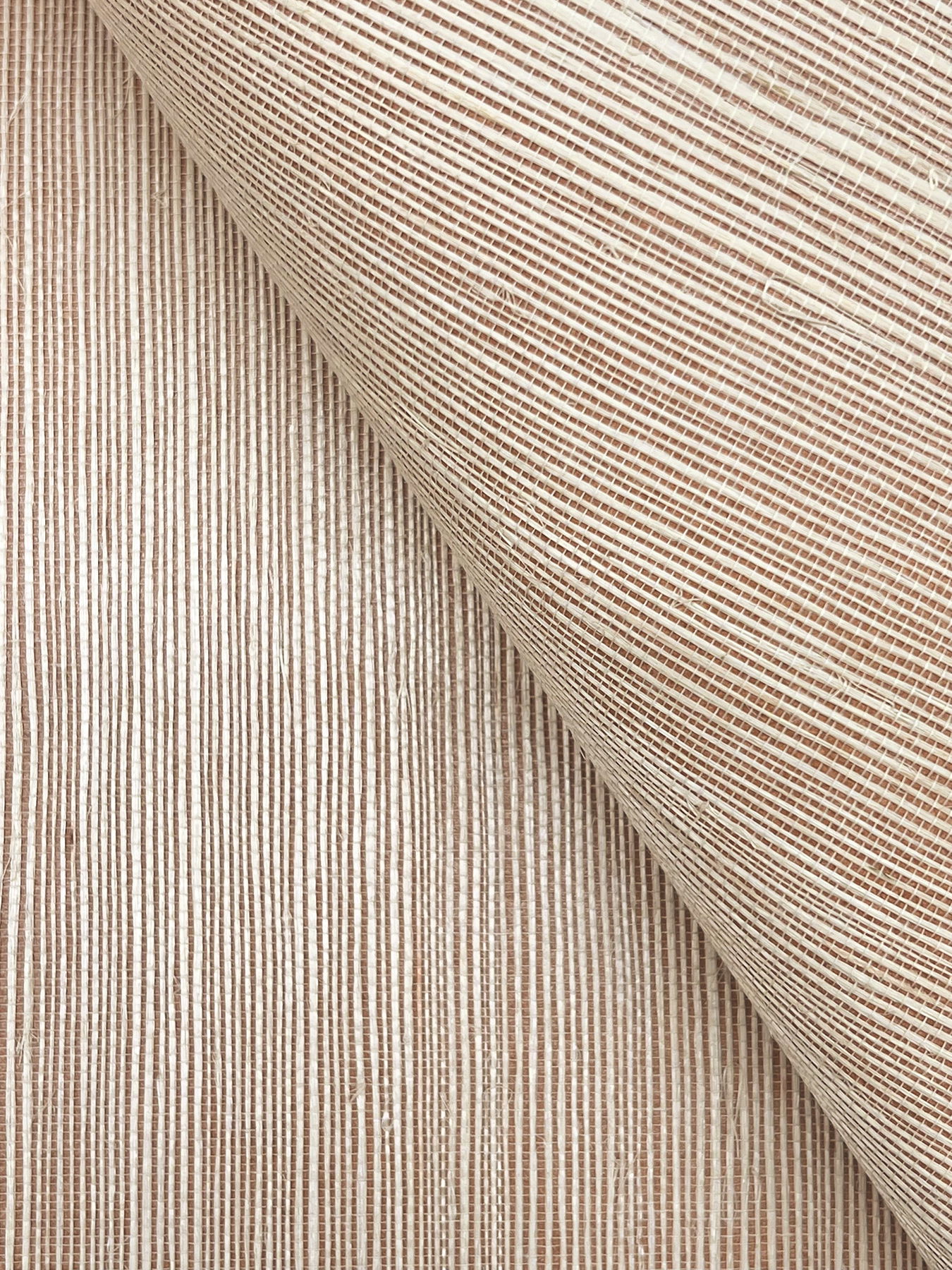 Maguey Sisal Adobe Wallpaper large image 