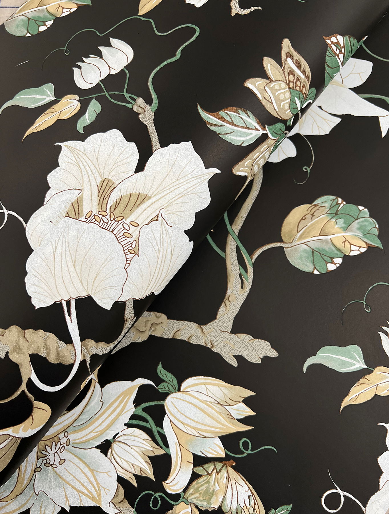 Marguerite Vine Black Wallpaper large image 