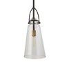 Saugus Industrial 1 Light Pendant thumbnail 4
