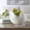 Nautilus Shell Sculpture, Figurines & Statue by Uttermost, 11" width x 8.75" height x 7.5" depth thumbnail 6