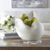 Nautilus Shell Sculpture, Figurines & Statue by Uttermost, 11" width x 8.75" height x 7.5" depth thumbnail 6