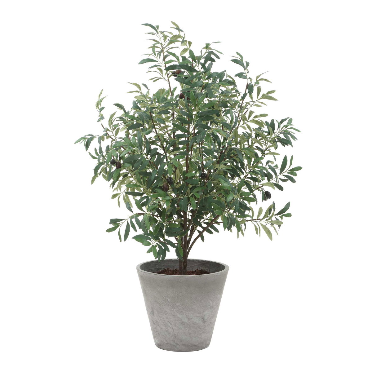 Marisol Potted Olive Plant, by Uttermost, 2'4.5" width x 3'9.25" height x 2'2.5" depth View 5