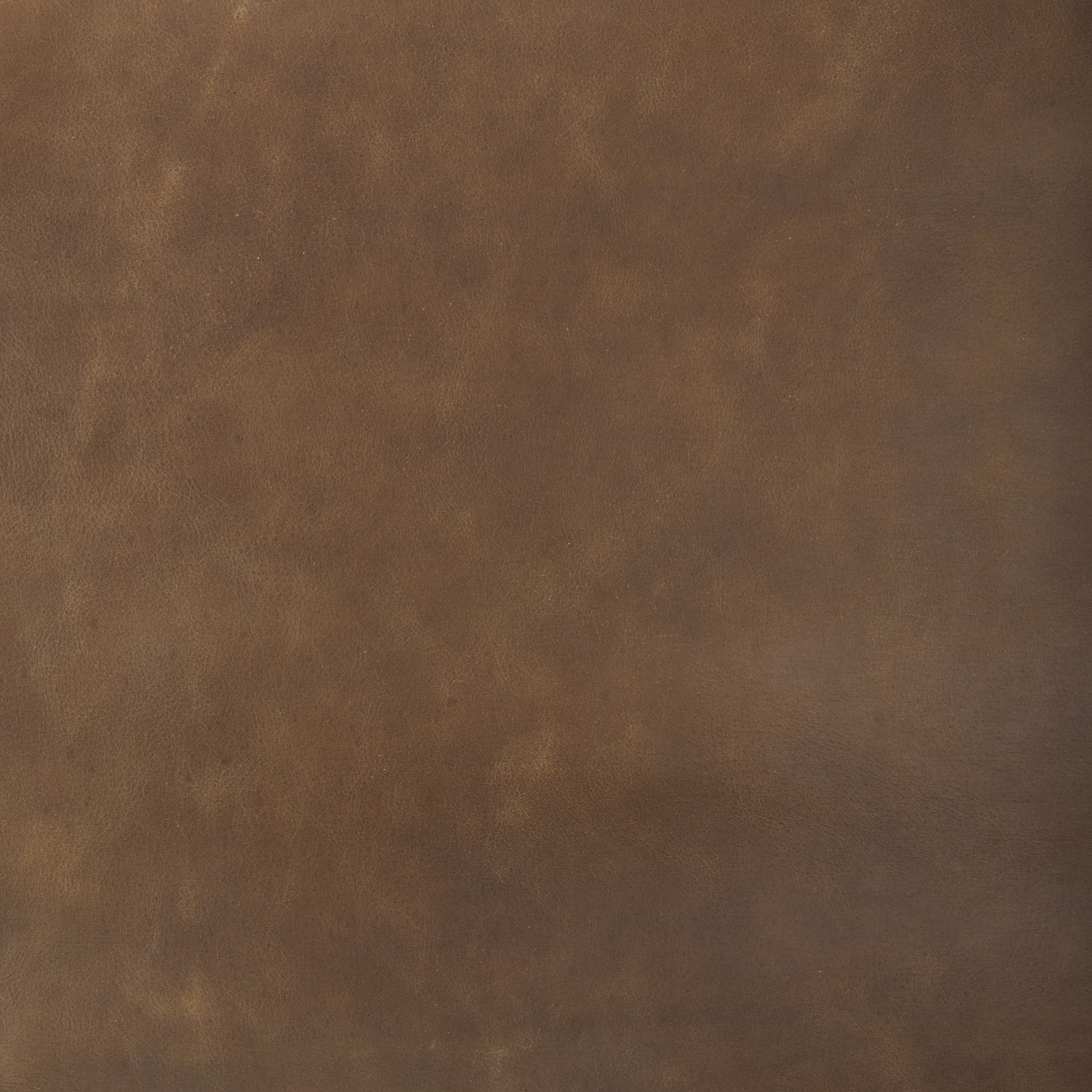 Elodie 24.4L x 33.9W x 30.7H Brown Leather with Natural Beech Wood Frame Accent Chair, by Mercana, 24.41" length x 31.9" width x 30.71" height View 2