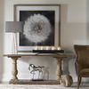 Dandelion Seedhead Framed Print thumbnail 4