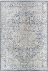 Rivaldo Machine Woven Rug, by Surya, 10'0.08" length x 7'10.49" width thumbnail