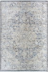 Rivaldo Machine Woven Rug, by Surya, 10'0.08" length x 7'10.49" width thumbnail