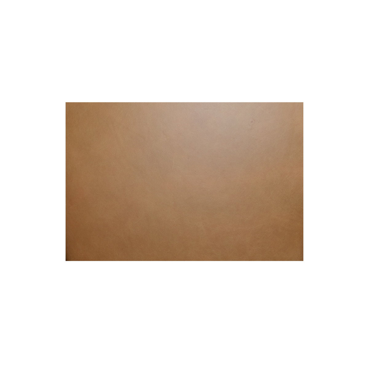 Morel Counter Stool Brown Leather, Counter & Bar Stool by Moe's Home, 21.25" width x 35.43" height x 22.04" depth View 7