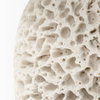 Mariam (26'H) Cream Coral-Inspired Base Table Lamp, by Mercana, 16" length x 16" width x 26" height thumbnail 5