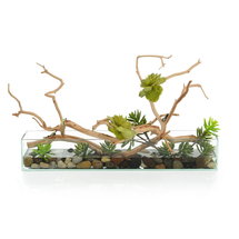 Online Designer Bedroom John Richard Succulent Tree