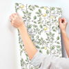Limoncello Toile Green Wallpaper, by York Wall, 27' length x 2'3" width x 0.02" depth thumbnail 6