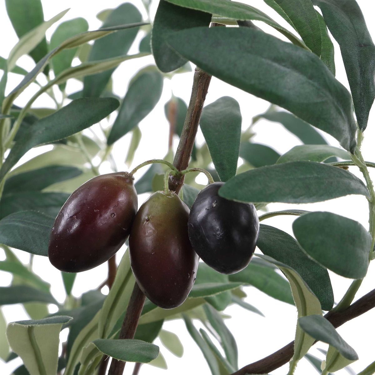 Marisol Potted Olive Plant, Artificial Plants & Flower by Uttermost, 28.5" width x 45.25" height x 26.5" depth View 6