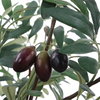 Marisol Potted Olive Plant, by Uttermost, 2'4.5" width x 3'9.25" height x 2'2.5" depth thumbnail 6
