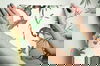 Botanicals & Lemurs White & Green Peel & Stick Wallpaper thumbnail 5