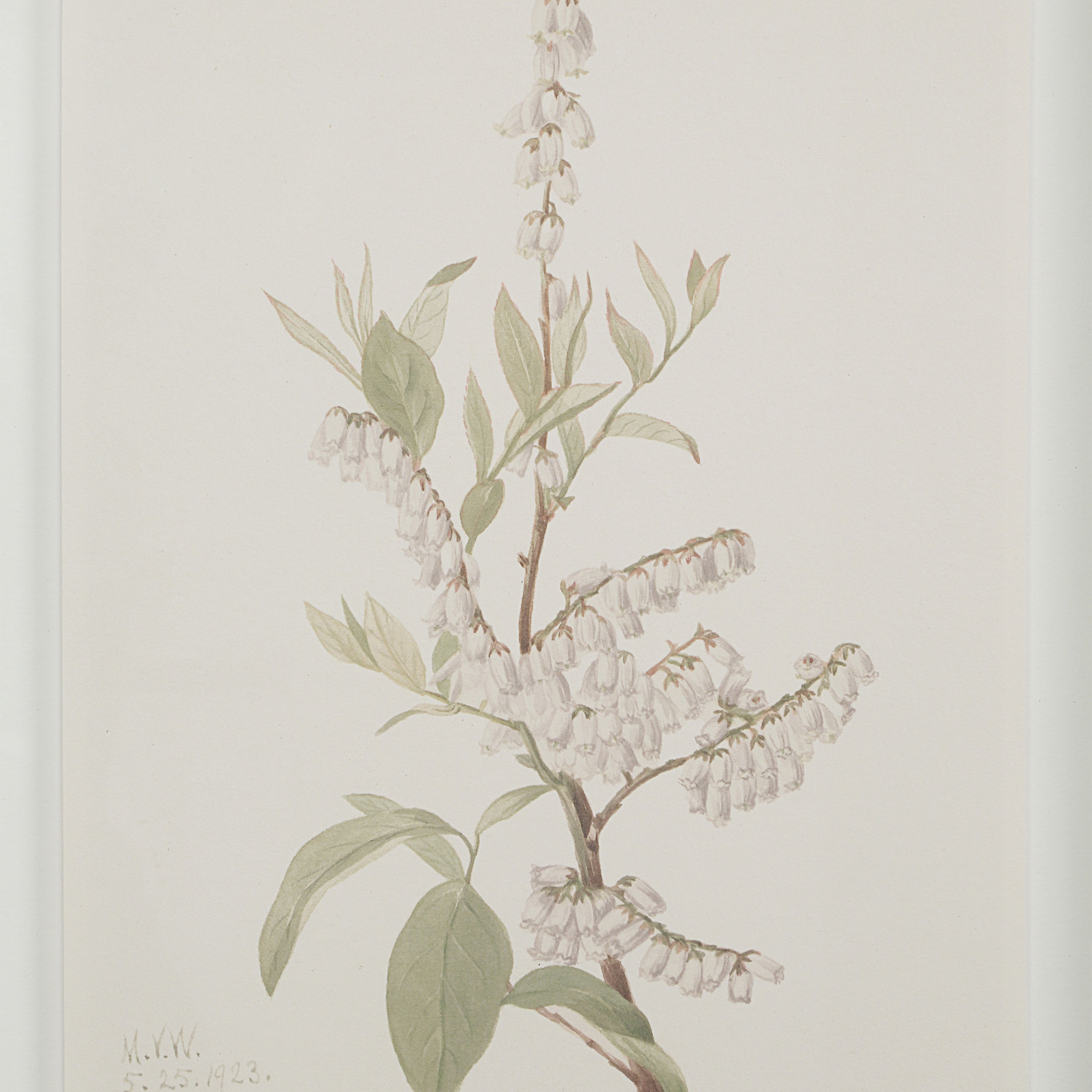 Crema, Painting by Renwil, 15" height x 1.18" depth View 3