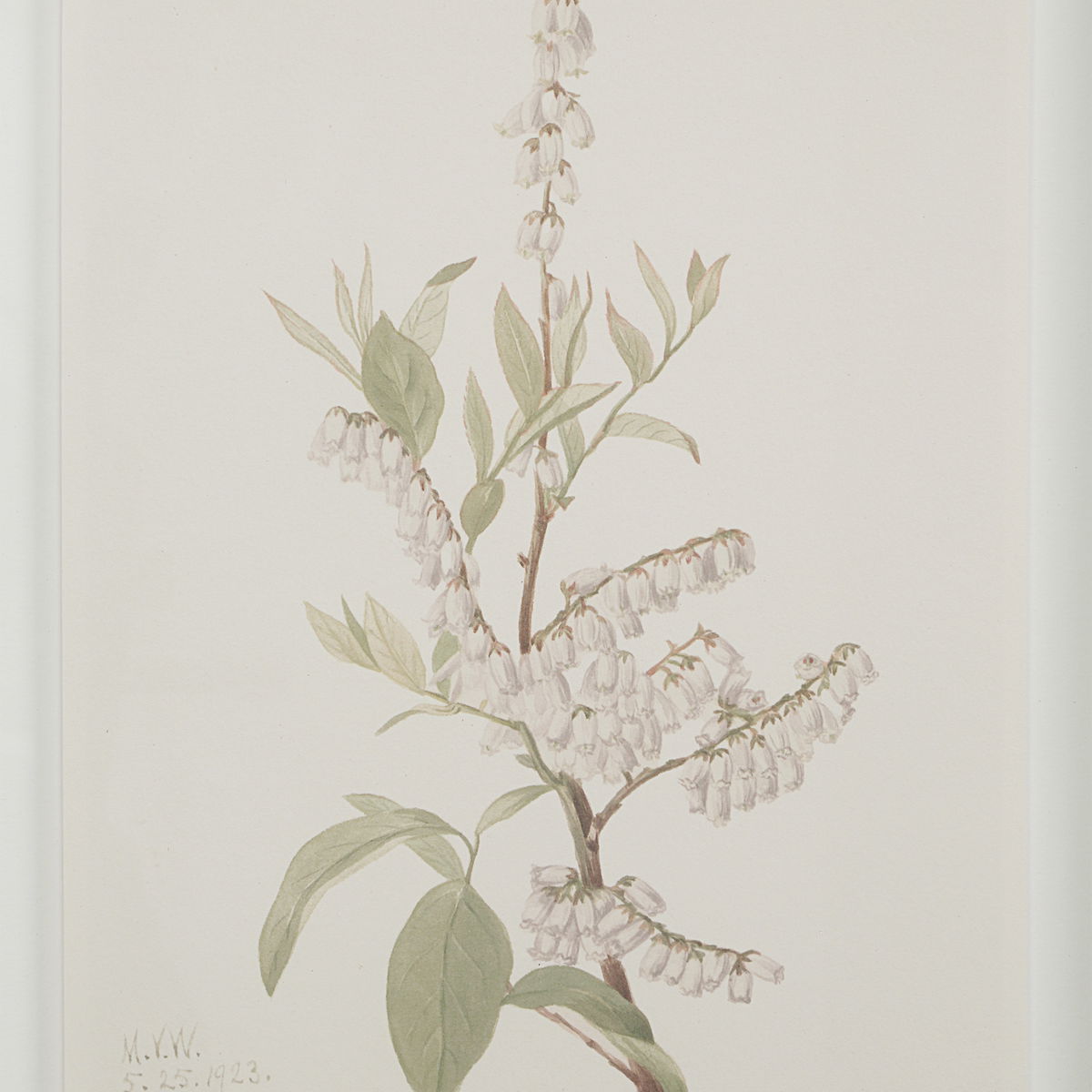 Crema, Painting by Renwil, 15" height x 1.18" depth View 3