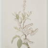 Crema, Painting by Renwil, 15" height x 1.18" depth thumbnail 3