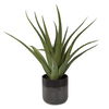 Tucson Aloe Planter thumbnail 2