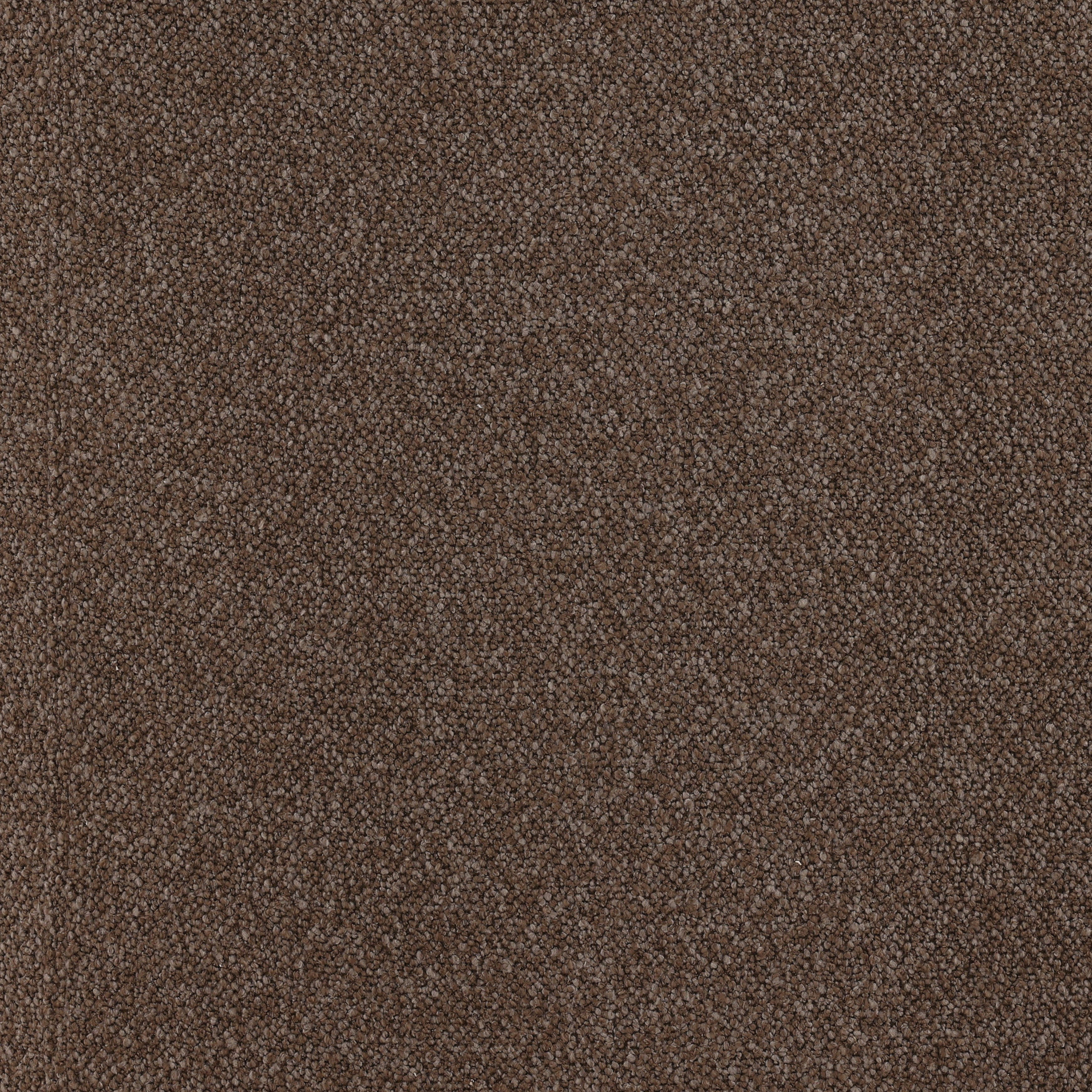 Saylor Occasional Chair Brown, Accent Chair by Dovetail, 34" width x 31.5" height x 36.5" depth View 5