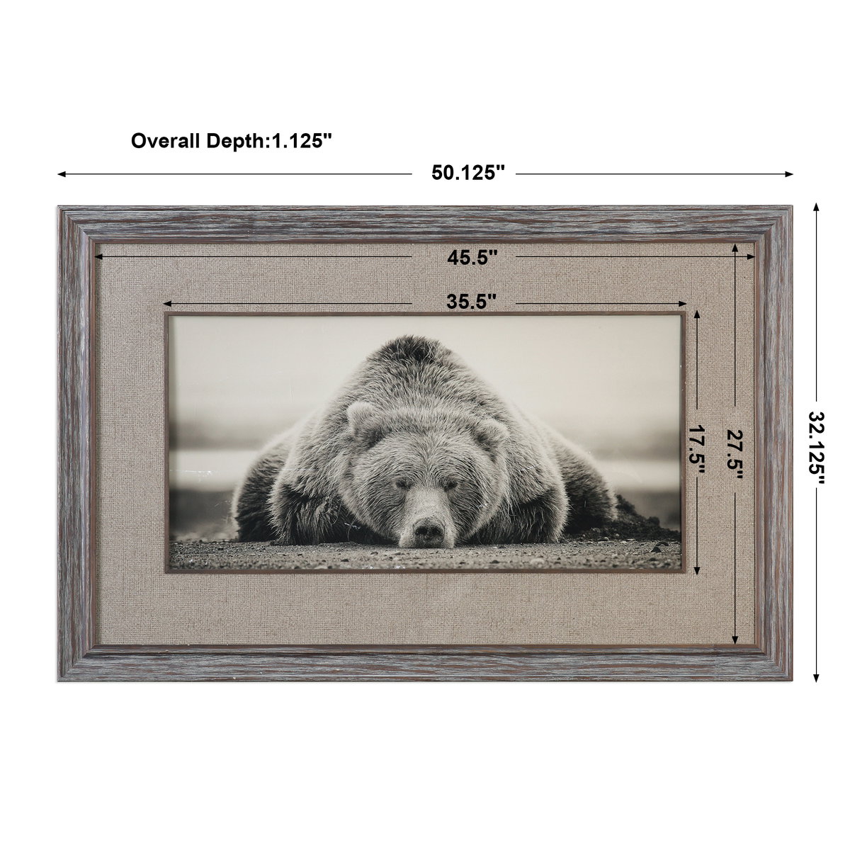 Deep Sleep Bear Print, Art by Uttermost, 50.12" width x 32.12" height x 1.12" depth View 3