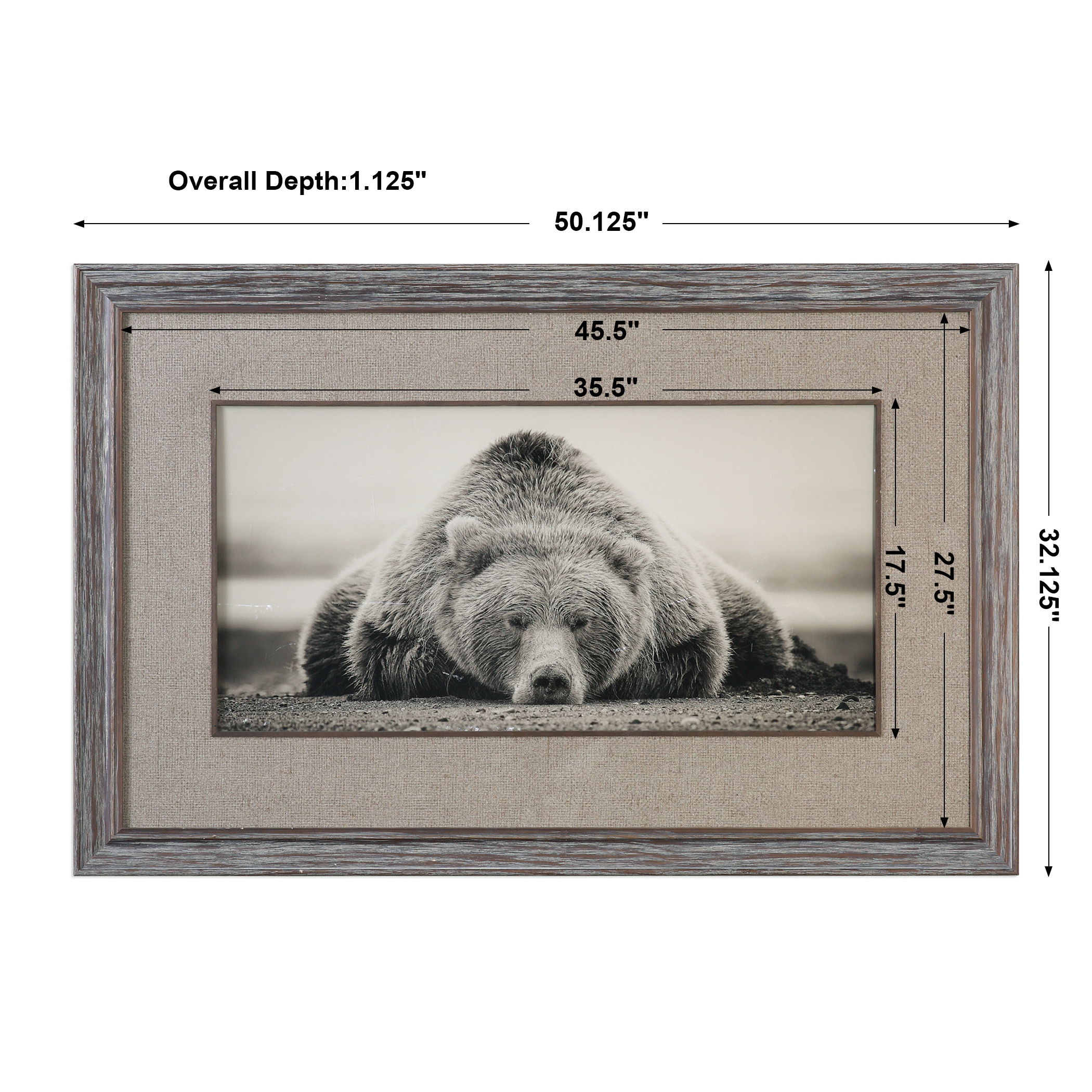 Deep Sleep Bear Print, Painting by Uttermost, 50.12" width x 32.12" height x 1.12" depth View 3
