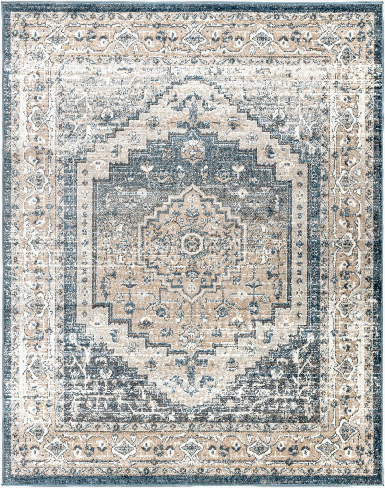 Davaro Machine Woven Rug, by Surya, 11'11.7" length x 9'2.24" width