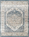Davaro Machine Woven Rug, by Surya, 1'3.75" length x 1'3.75" width thumbnail