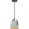 Handler Ceiling Fixture thumbnail 3