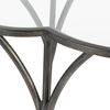 Adhira Glass Accent Table thumbnail 6