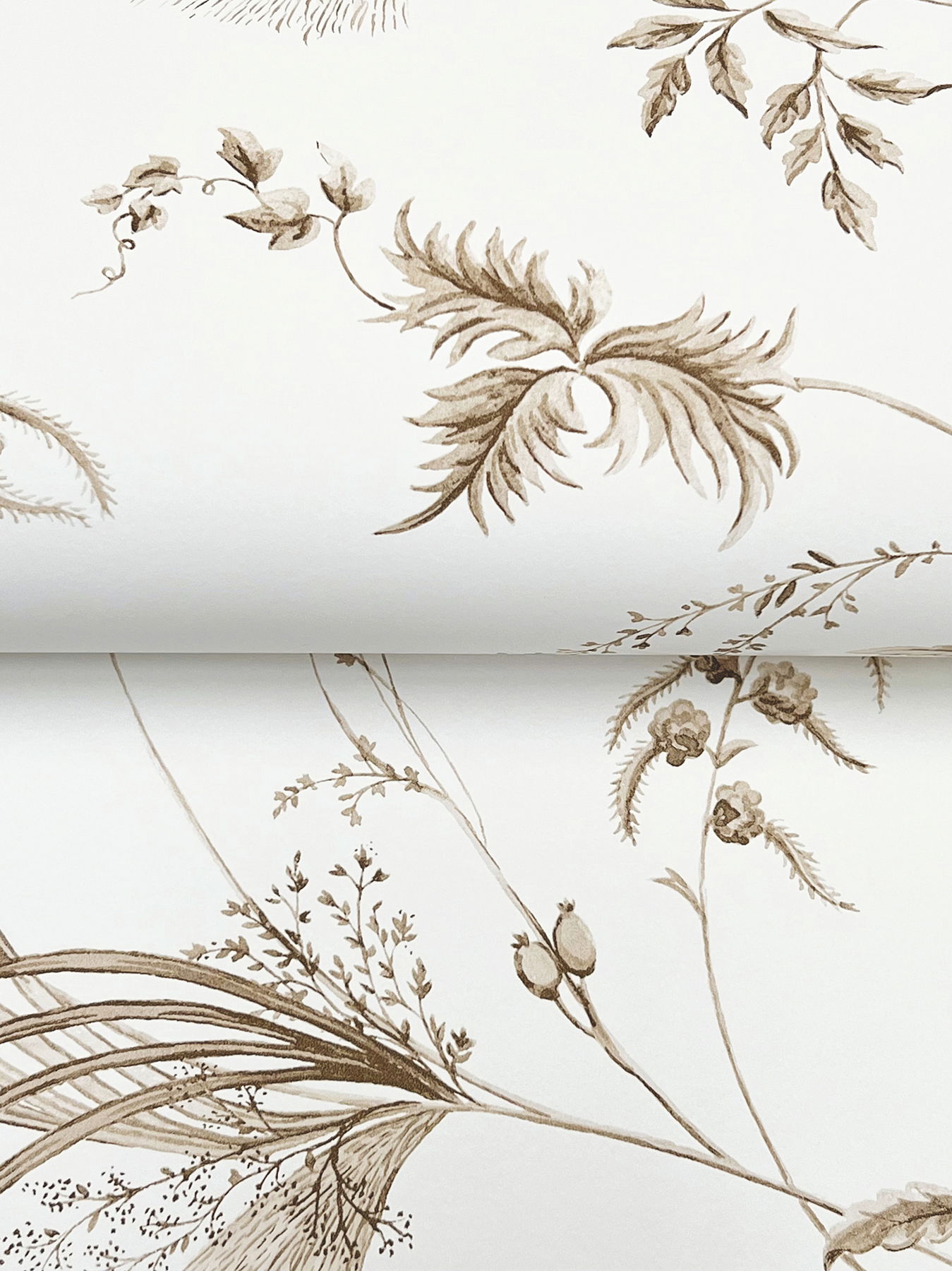 Floral Lace Taupe Wallpaper large image 