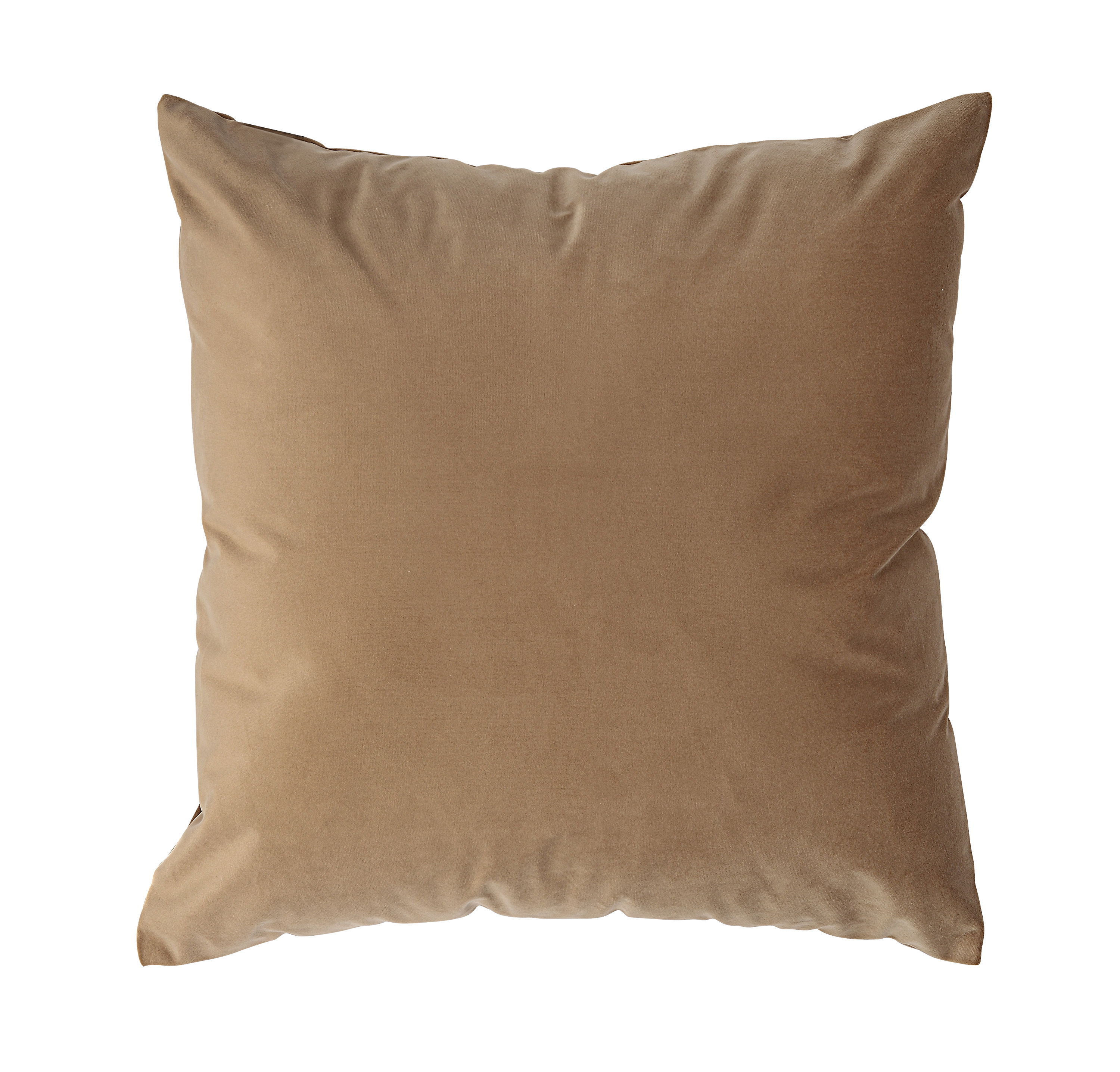 Alchemilla Indoor Pillow, Decorative Pillow by Renwil, 20" height View 1