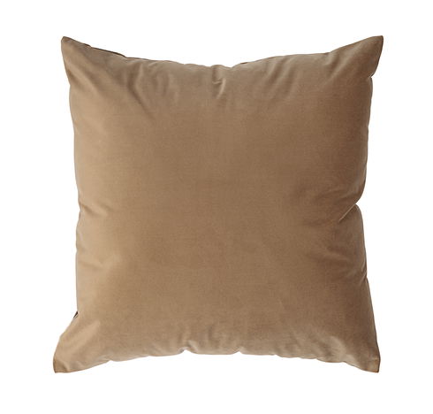 Alchemilla Indoor Pillow