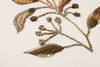 Loloi Acer Wall Art, Wall Hanging, 12" length x 15" width thumbnail 3