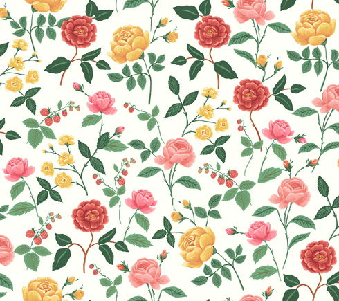 Roses Blush Wallpaper