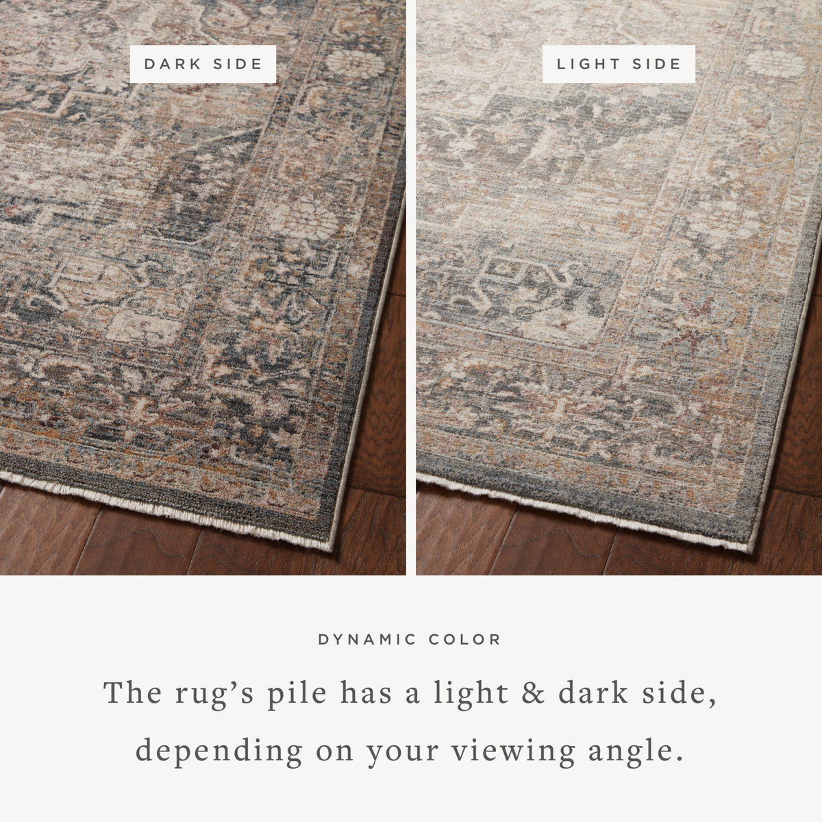 Loloi Lyra Rug, 9'3" length x 13' width View 2