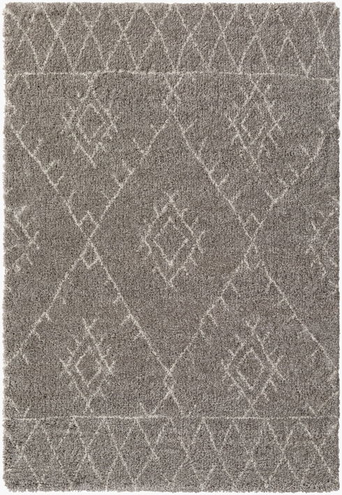 Wilder Machine Woven Rug