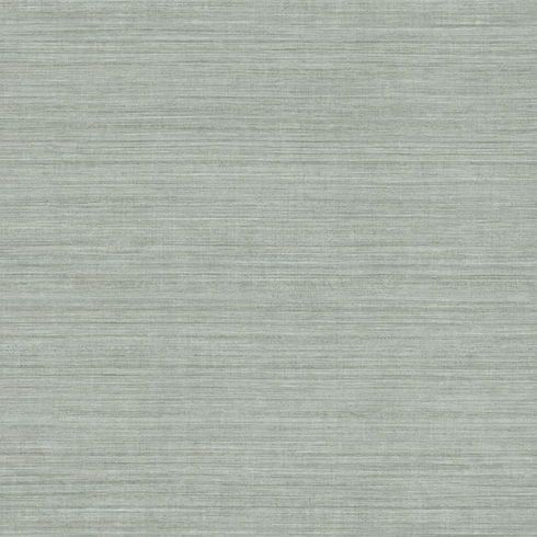Tasar Silk Grey Wallpaper