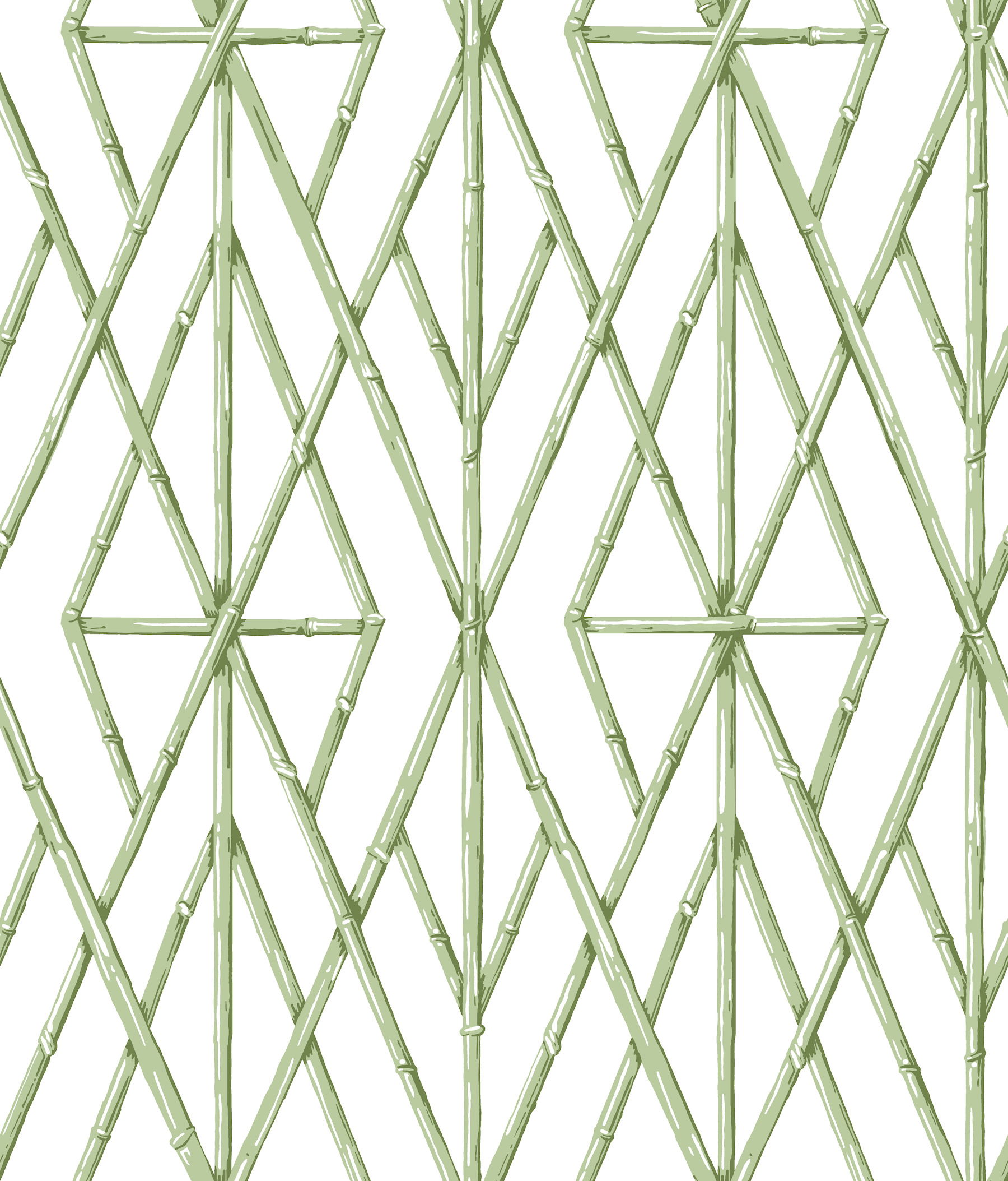 Riviera Bamboo Trellis Green Wallpaper large image 