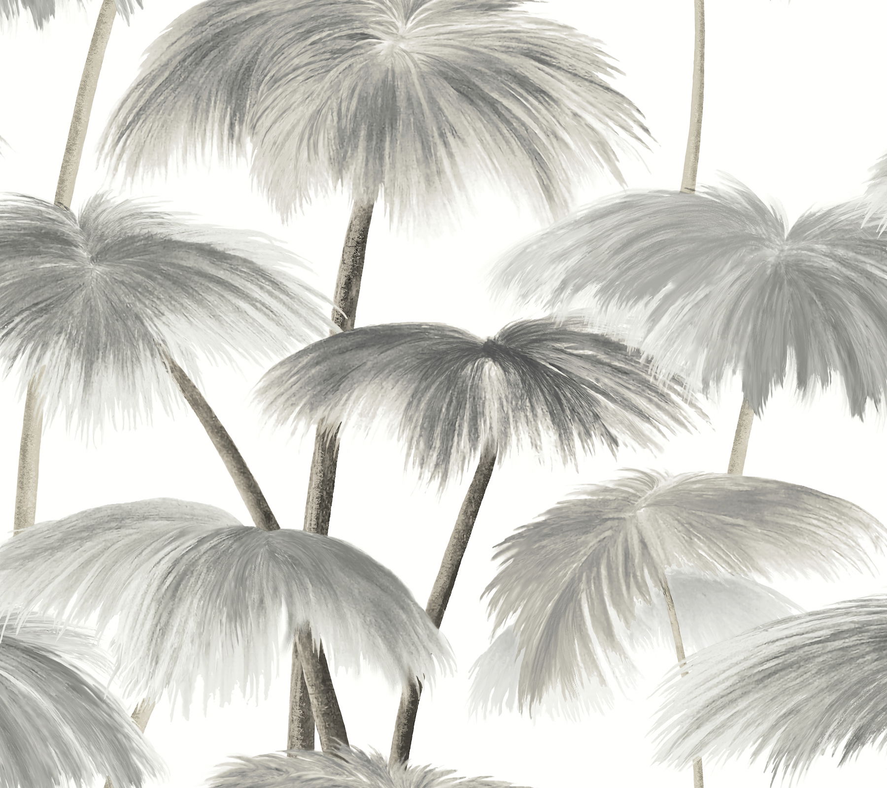 Plein Air Palms Black & White Wallpaper large image 