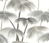 Plein Air Palms Black & White Wallpaper thumbnail 0