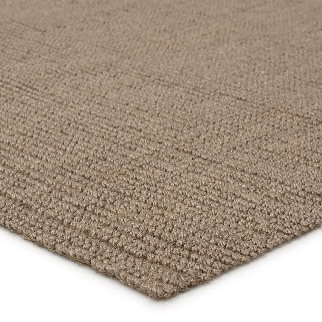 Alyster Natural Solid Taupe Area Rug (8'X10') large image 
