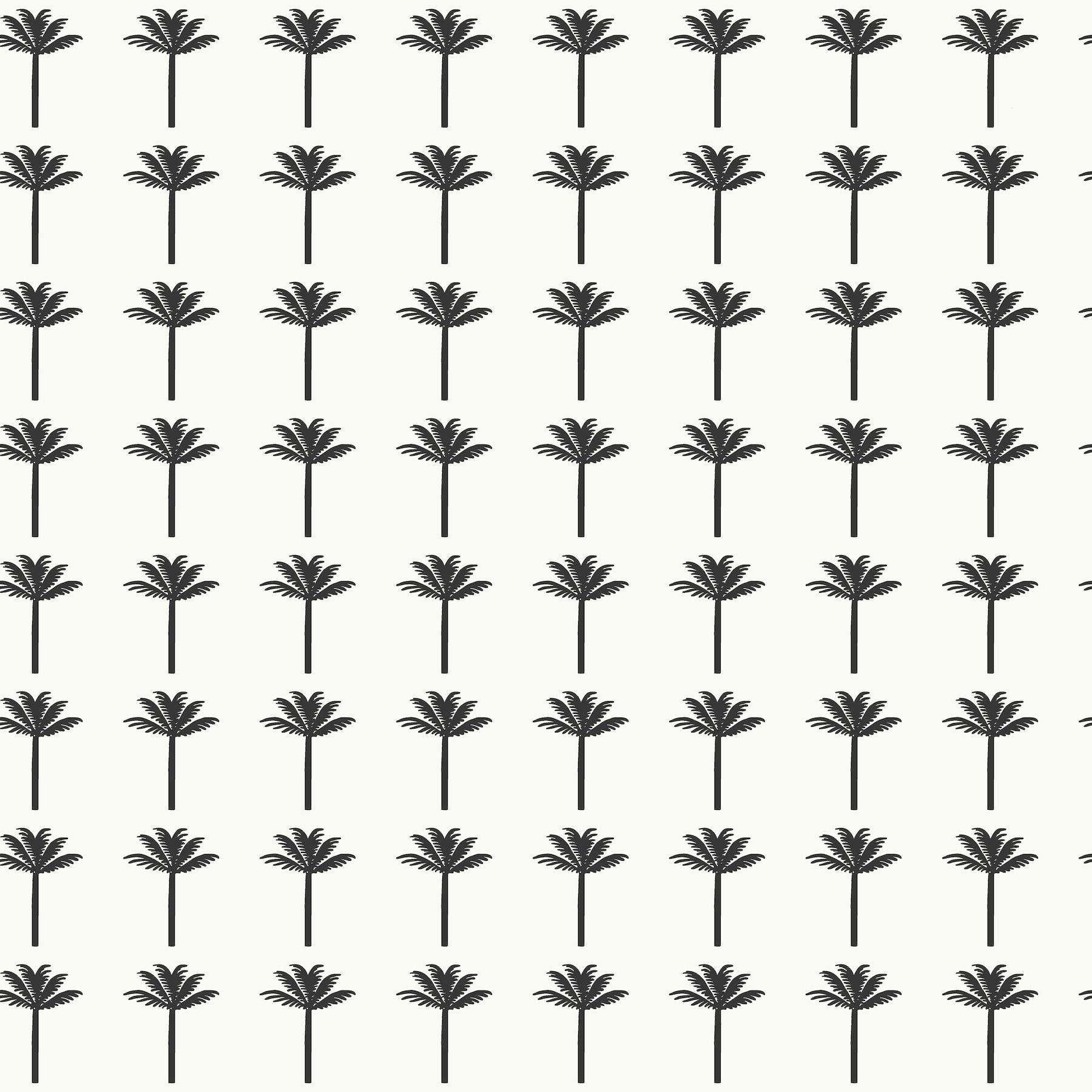Palm Bay Black Wallpaper large image 